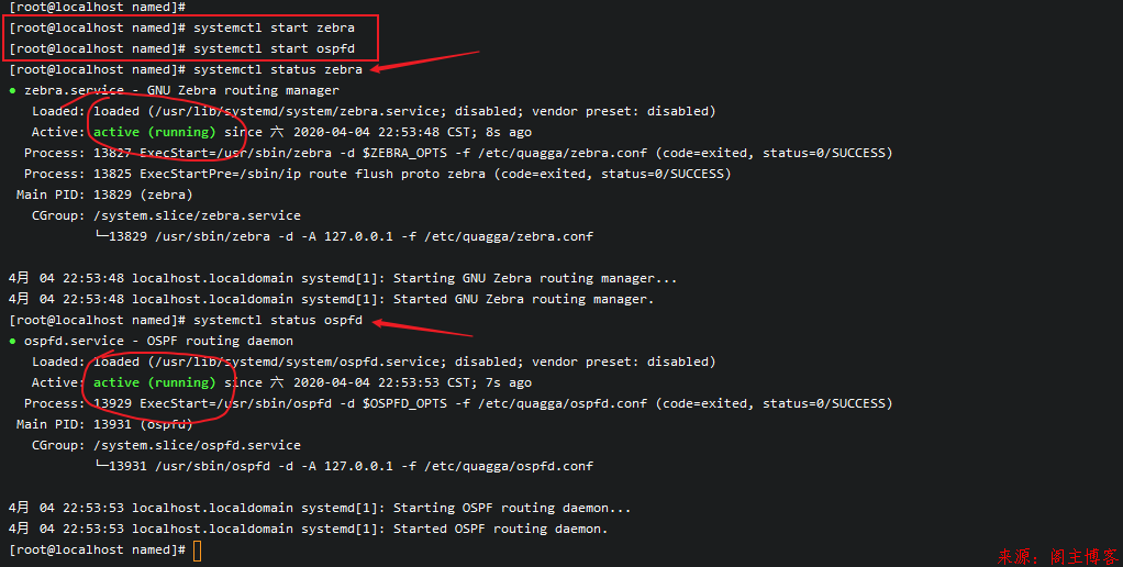 EVE-NG模拟器实验系列之小型局域网搭建(DHCP+Apache+DNS+NAPT)第19张-阁主学习小站